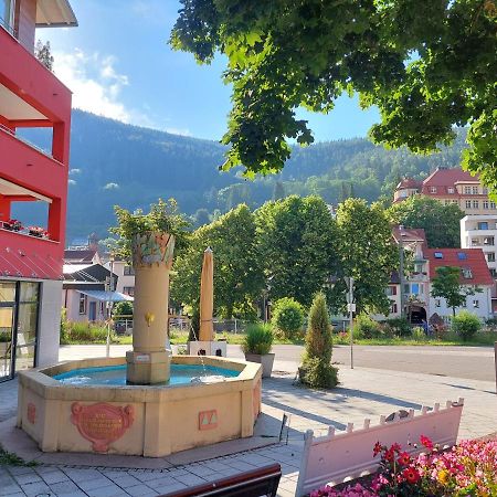 Apartement am Waldrand Bad Wildbad Bagian luar foto