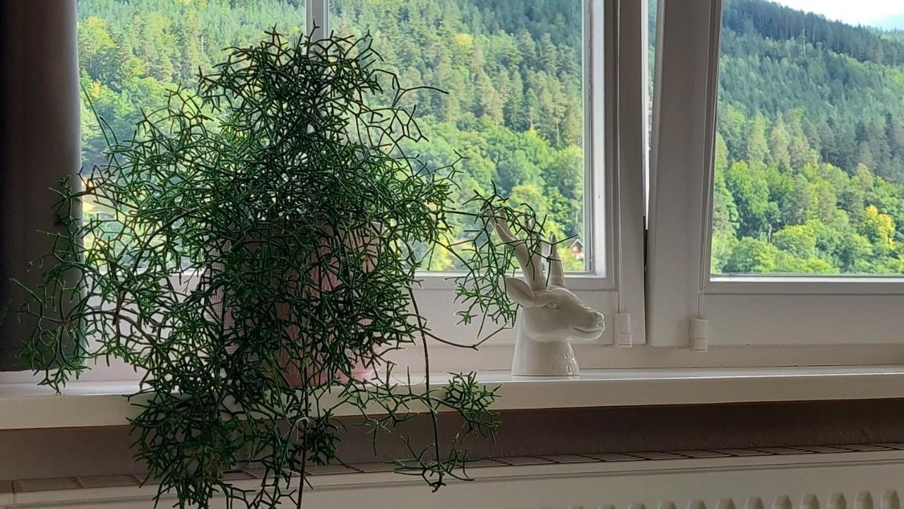 Apartement am Waldrand Bad Wildbad Bagian luar foto